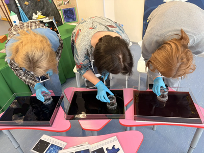 Поиск созвездий